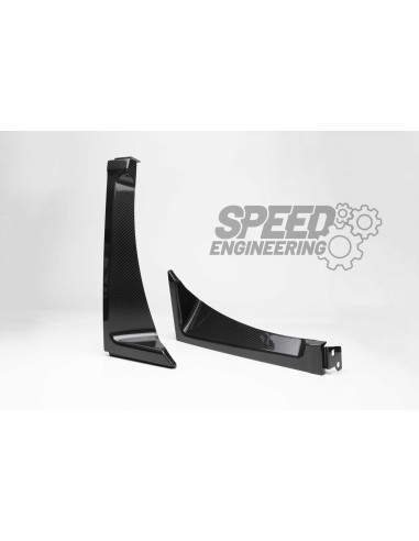 Speed Engineering Carbon Kotflügel für Audi R8 (4S) mit Entlüftung SPEED ENGINEERING V10 Performance 5.2 FSI Quattro, 456 KW ...