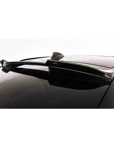 AC Schnitzer roof spoiler for BMW X6 (G06) AC SCHNITZER M50i xDrive, 390 KW / 530 PS