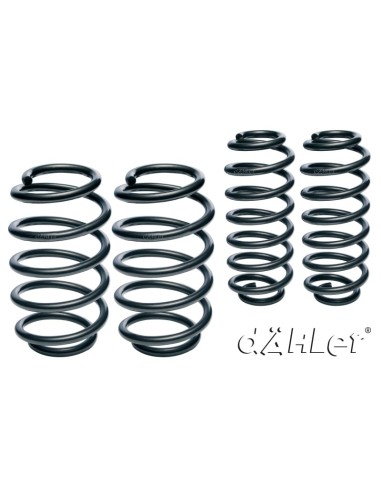 Dähler Sport Spring Set for BMW X5 (G05) M50i